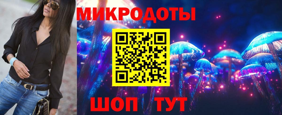 Псилоцибиновые грибы прущие грибы  Вход с VPN  закладка  Карачаевск 